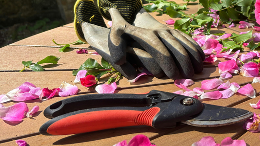 Spring Pruning: Snip Snip, Bloom
