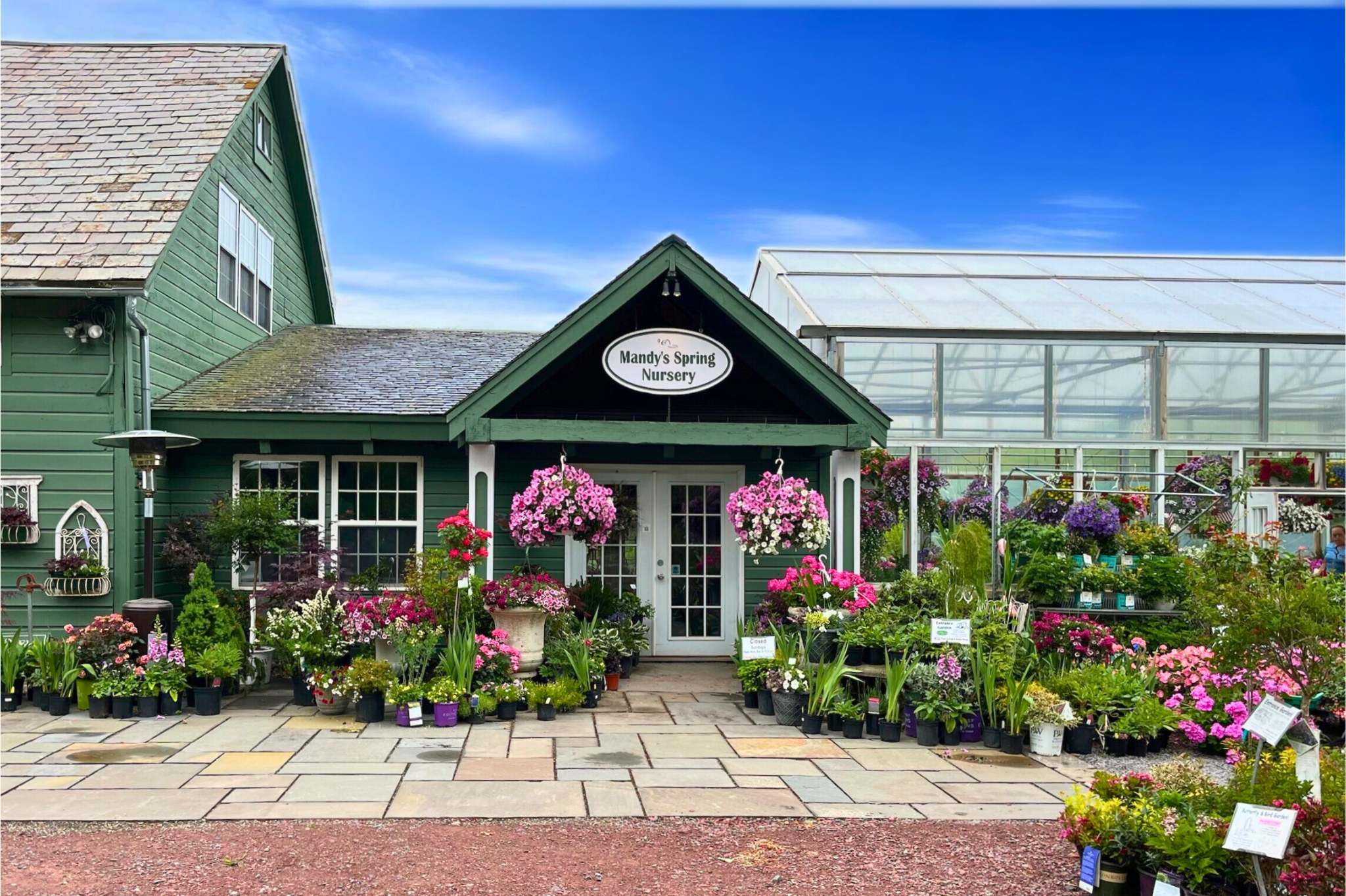 Best Selling Plants – Mandy Spring Farm Nursery, Inc.