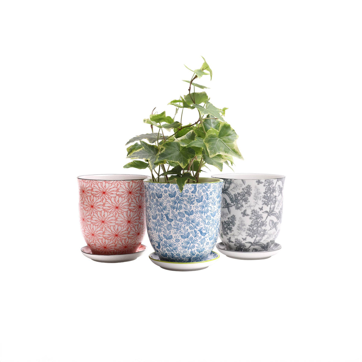 Liberte Indoor plant pots with drainage 3 & 5 inch planter