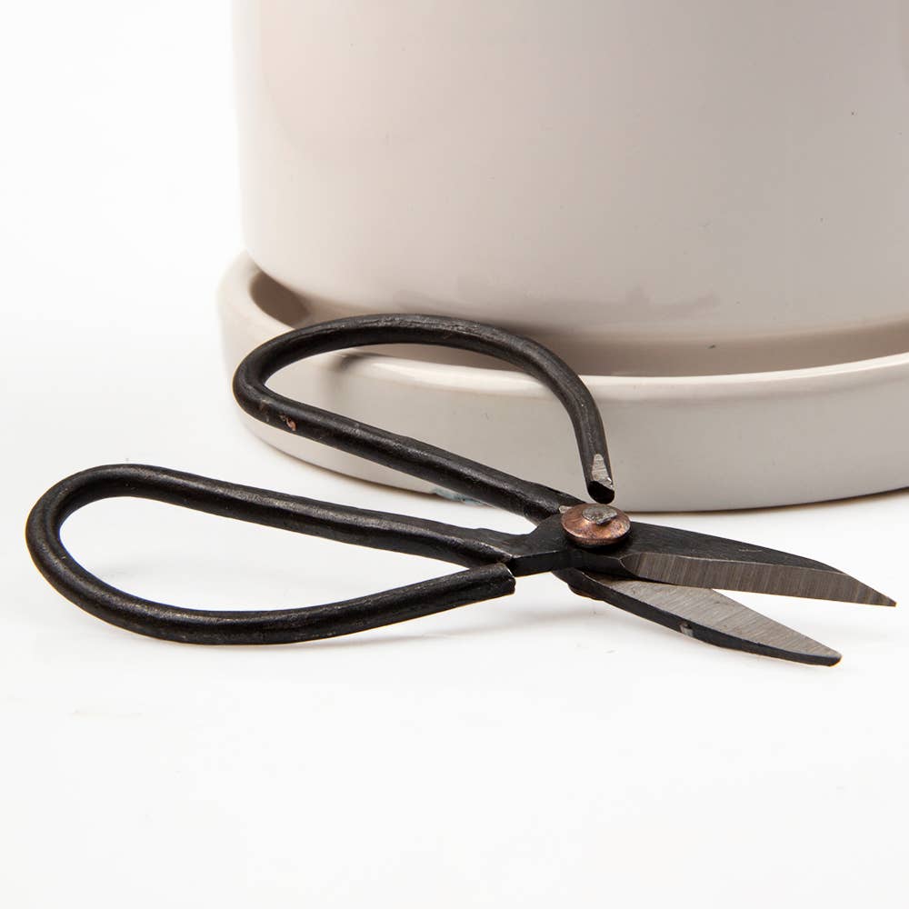 Edward Plant Scissors/ Gardening
Plant Accessories