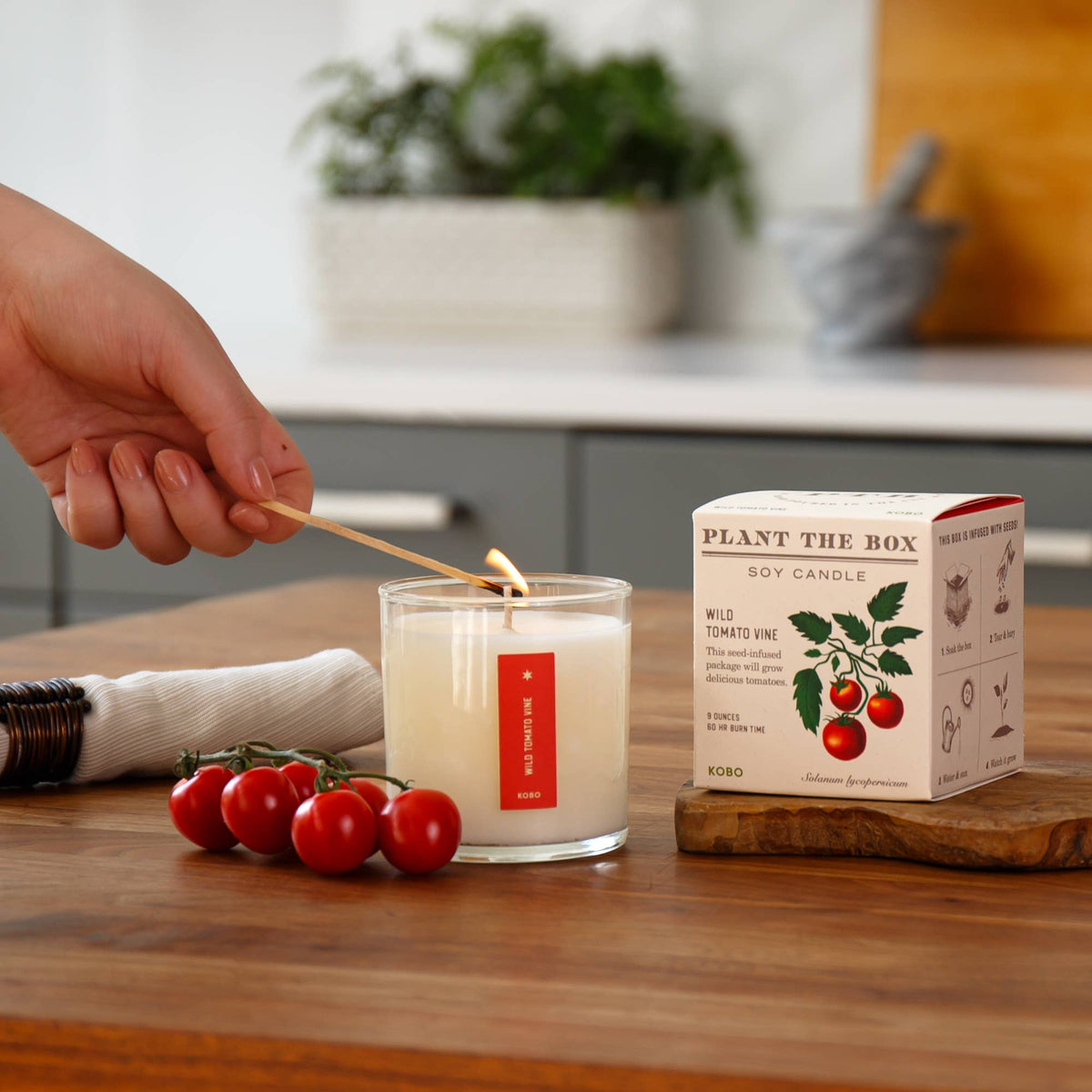 Wild Tomato Vine - Plant the Box Candle - 9oz.