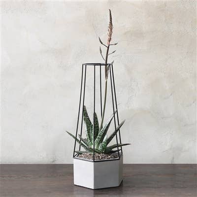 Indio Planter - Lrg - Cement