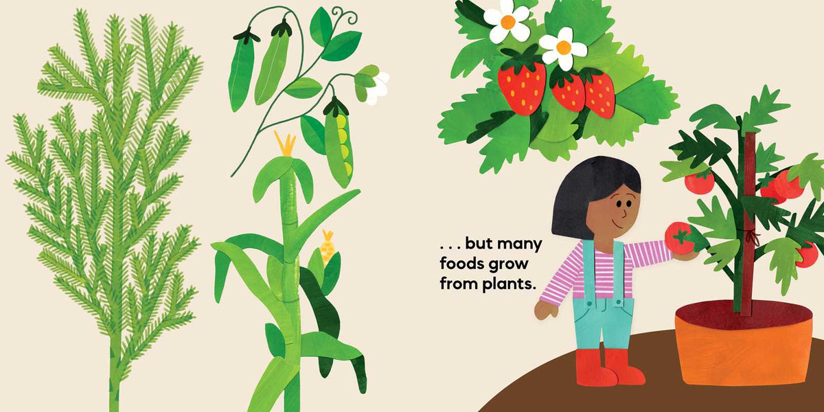 Our Food Grows by Sarah M. White