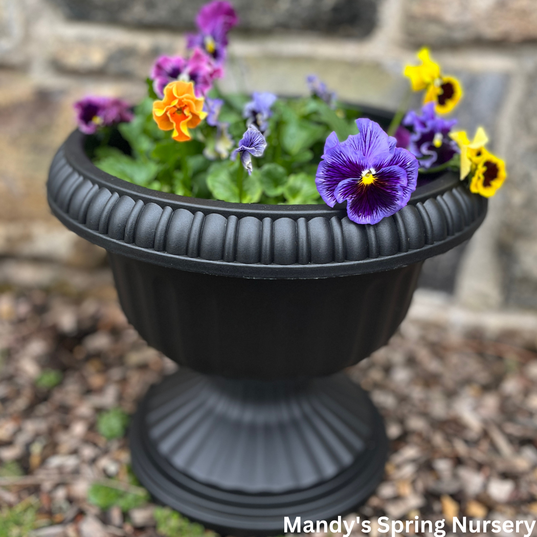 grecian urn plant pot 'Grecian' Urn Black Planter