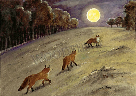 #307 - Foxes Moonlight Notecard