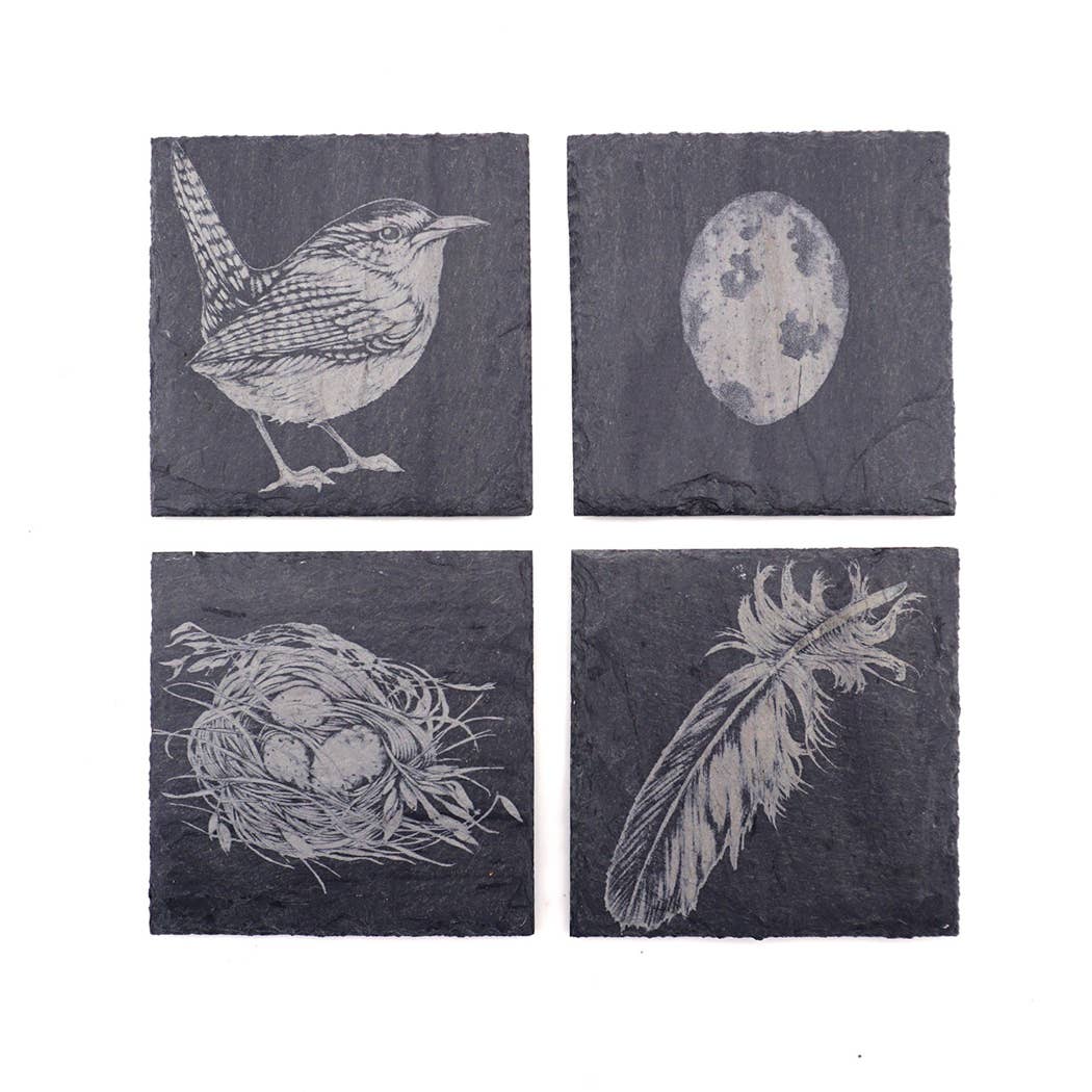 Slate Coasters-Laura Zindel Wren set of 4