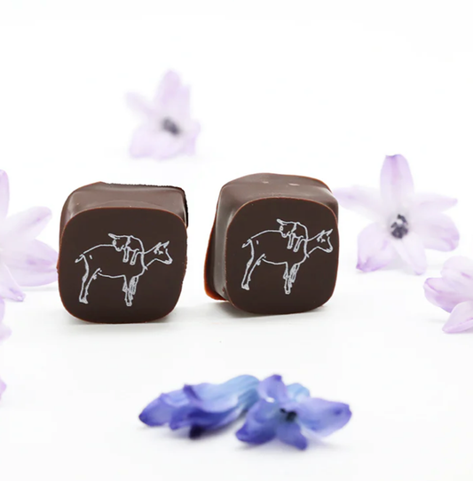 2 Piece Chocolate Covered Caramel Candy Gram