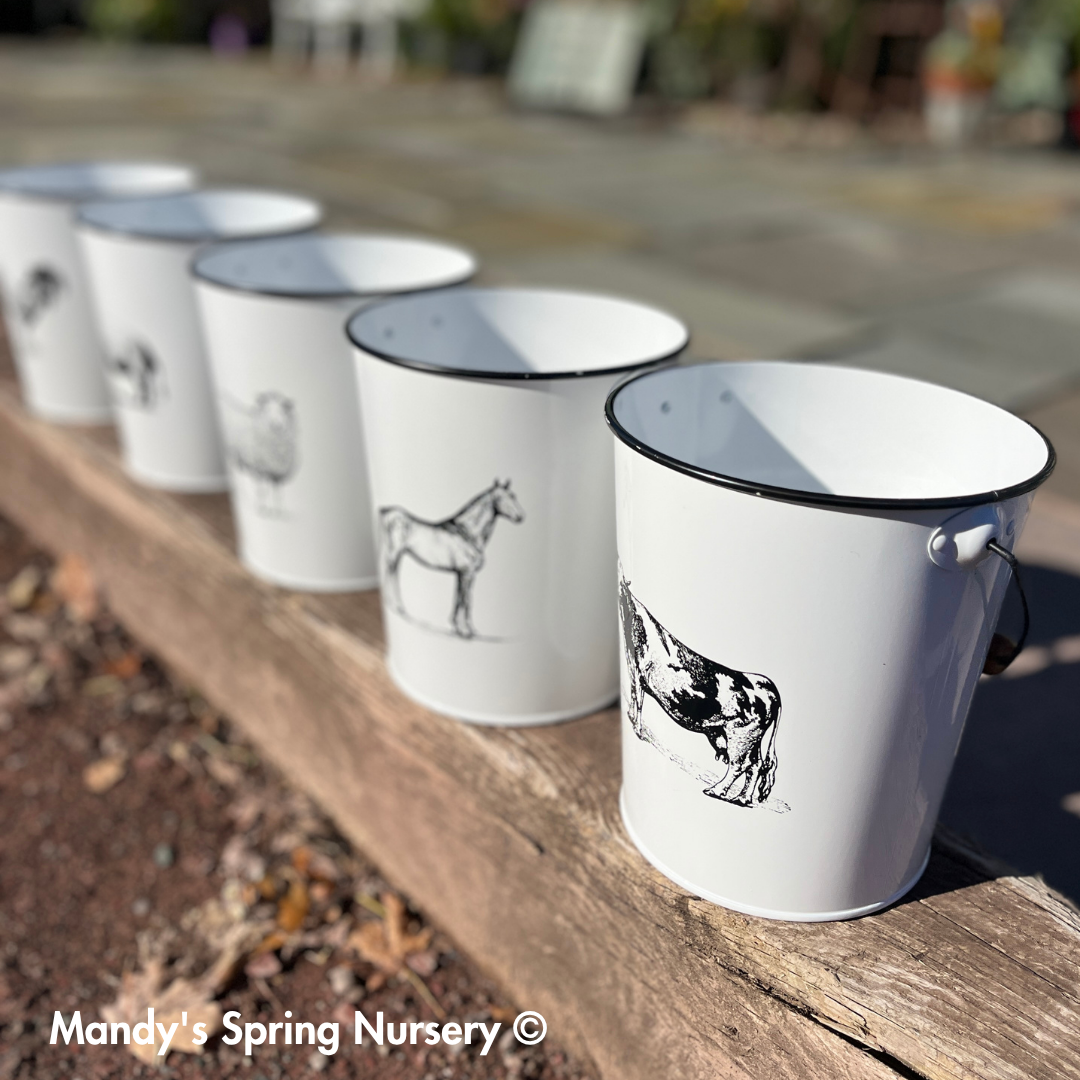 Farm Animal Bucket Planter