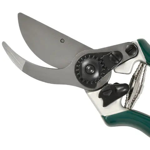 RHS Professional BP Secateur