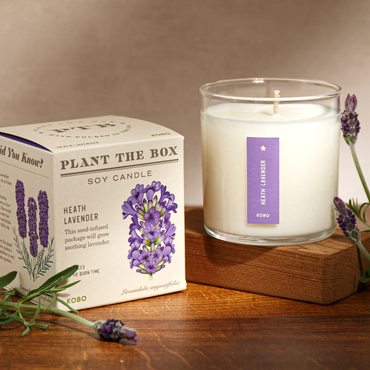 Heath Lavender - Plant the Box Candle - 9oz.