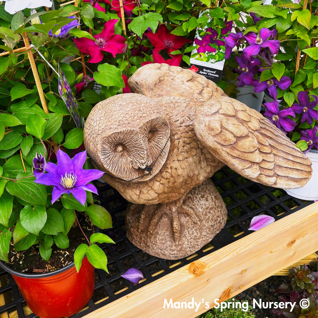 Barny Garden Statue