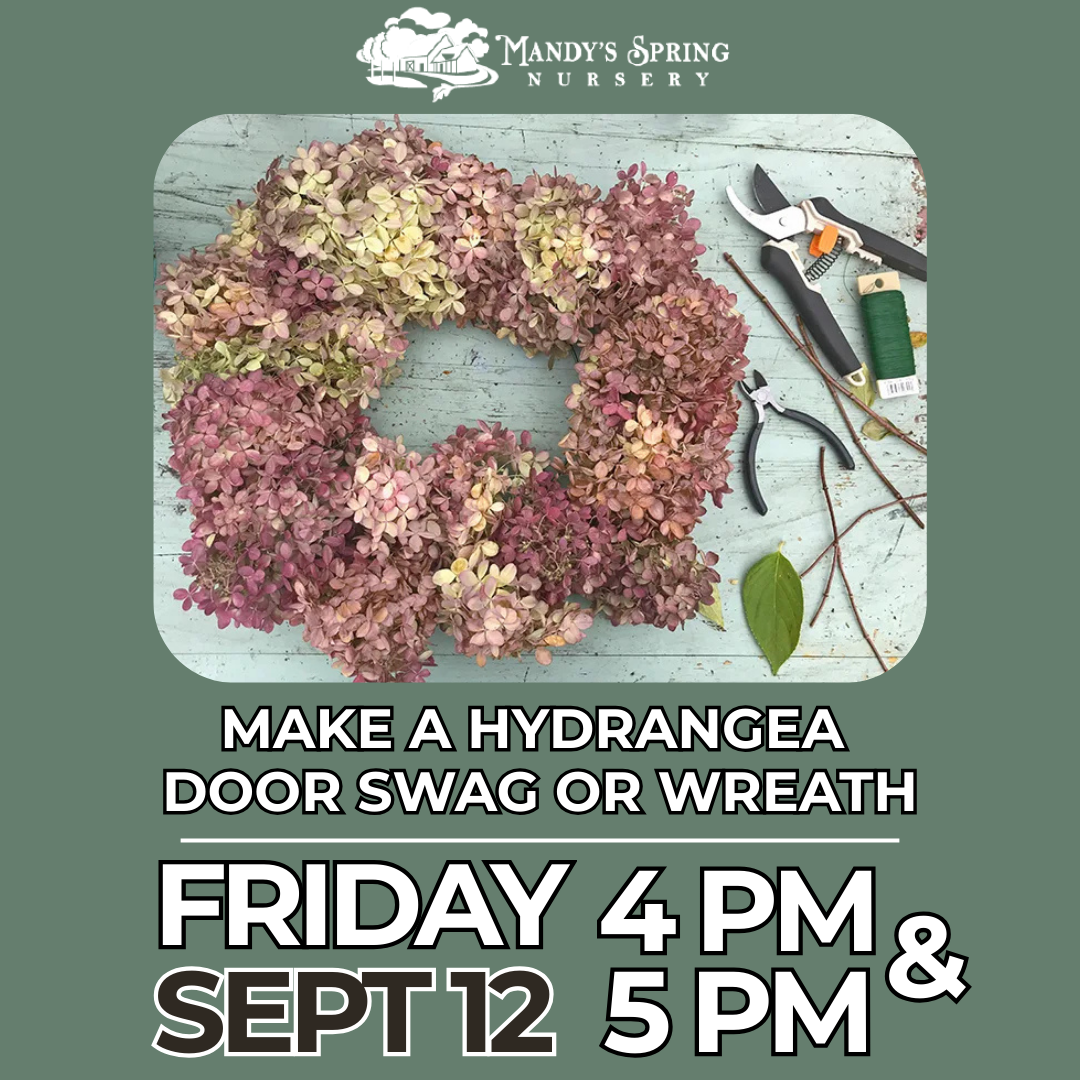 Make a Hydrangea Door Swag or Wreath