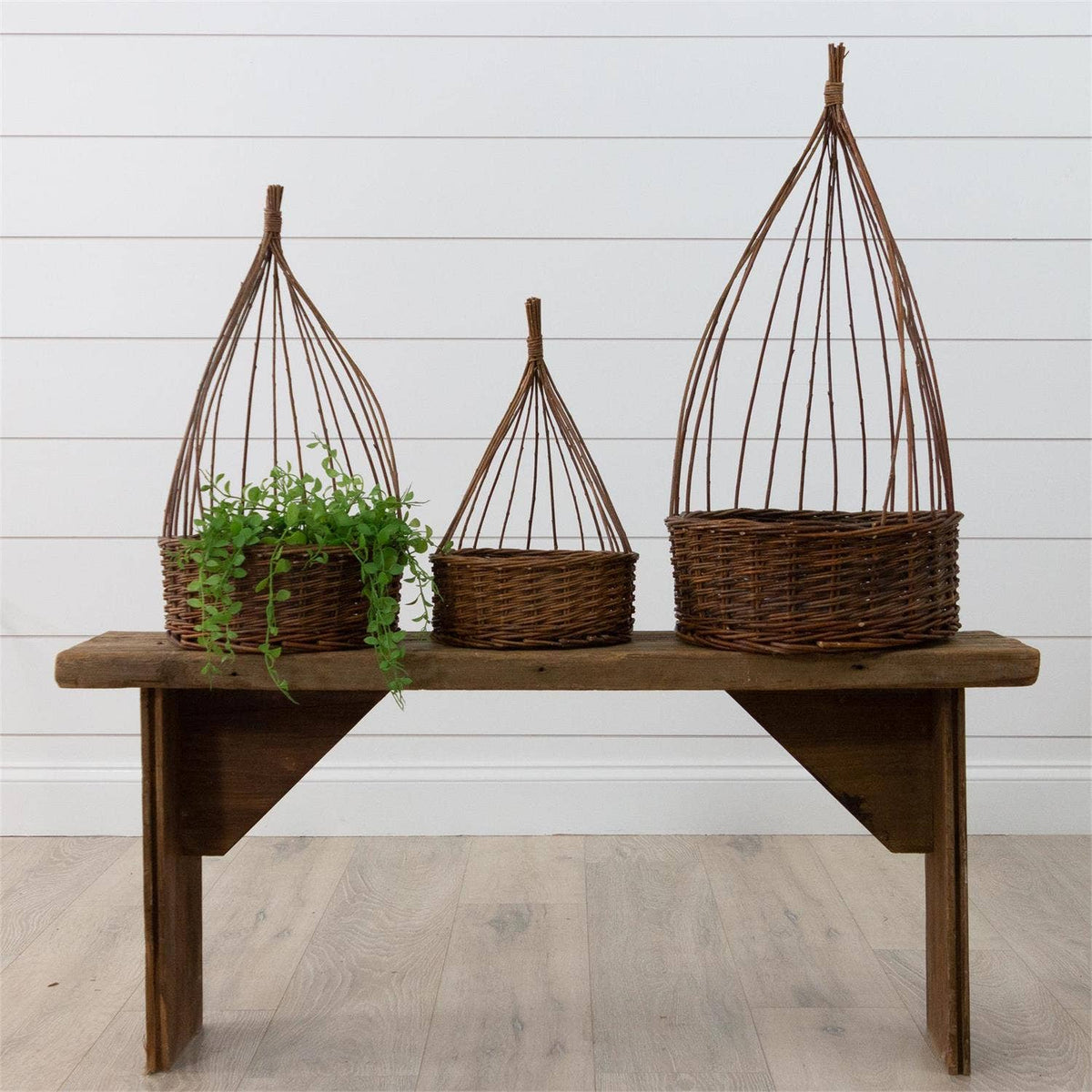 Willow Obelisk Planters