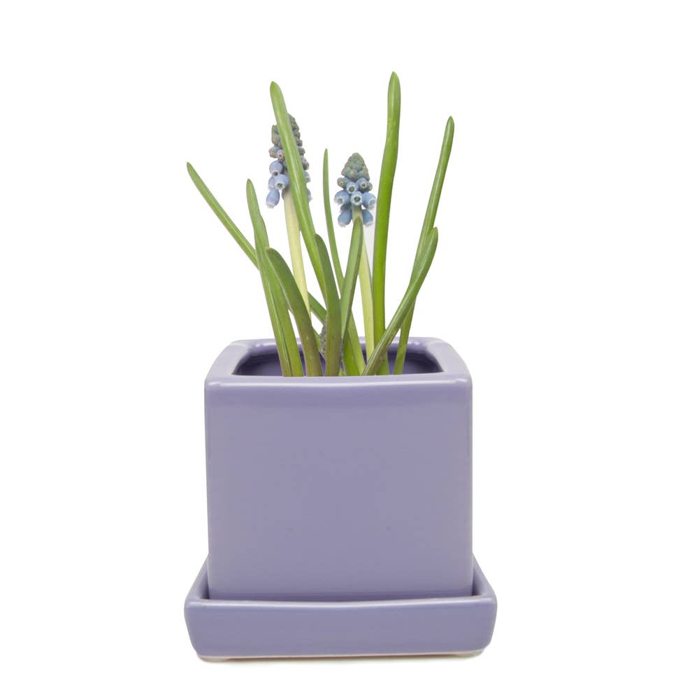 Cube Pot With Saucer And Drainage Hole 60 Plus Colors