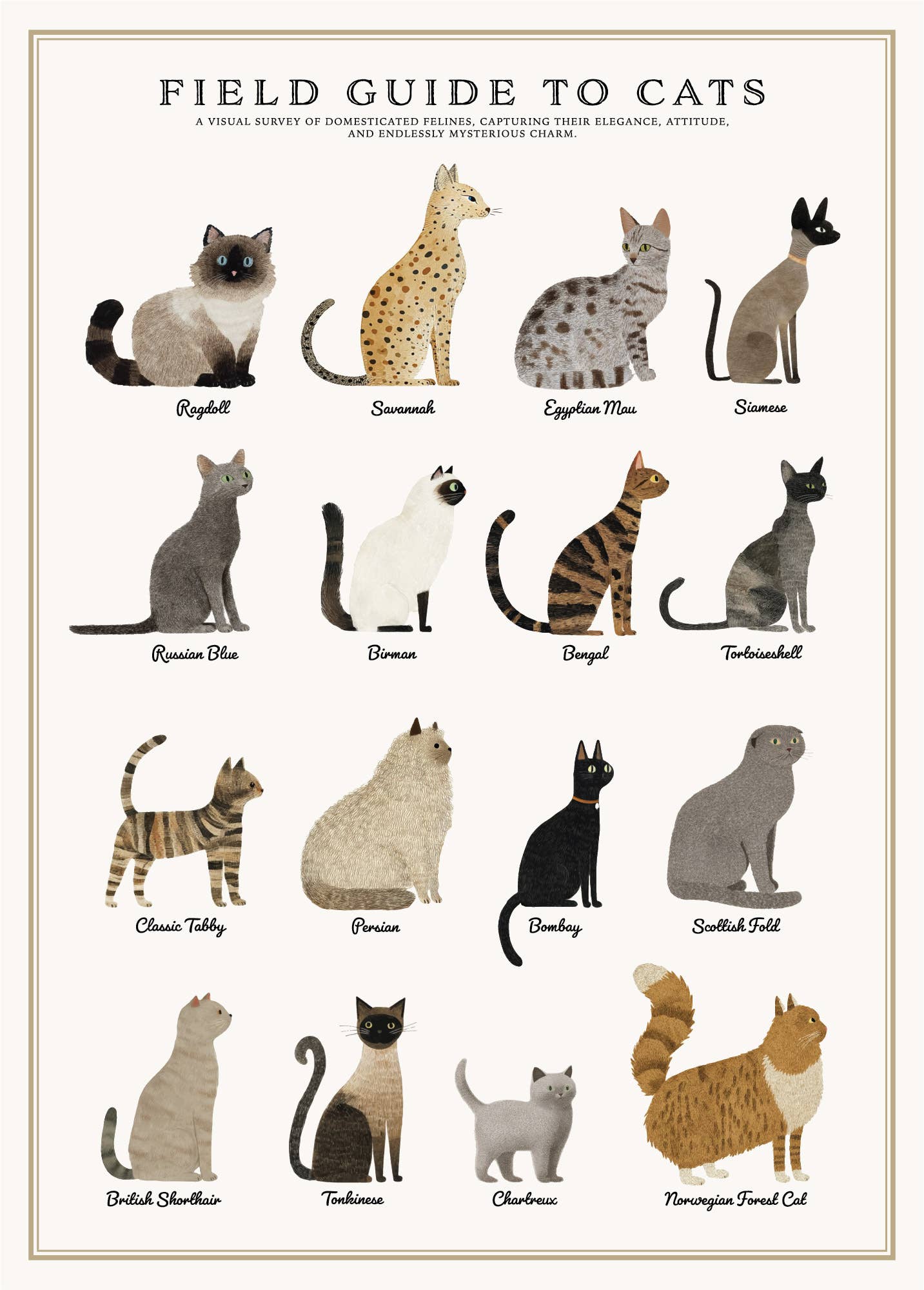 Vintage Posters Wrapping Paper - Cats