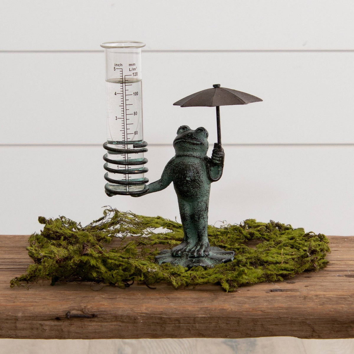 Frog Rain Gauge