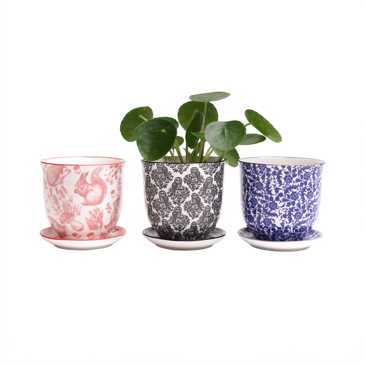 Liberte Indoor plant pots with drainage 3 & 5 inch planter
