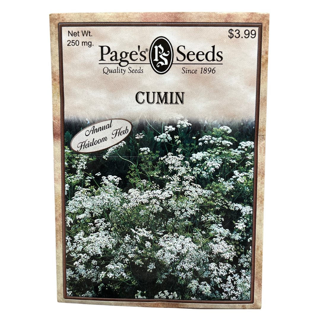 where to buy cumin seeds for planting Cumin