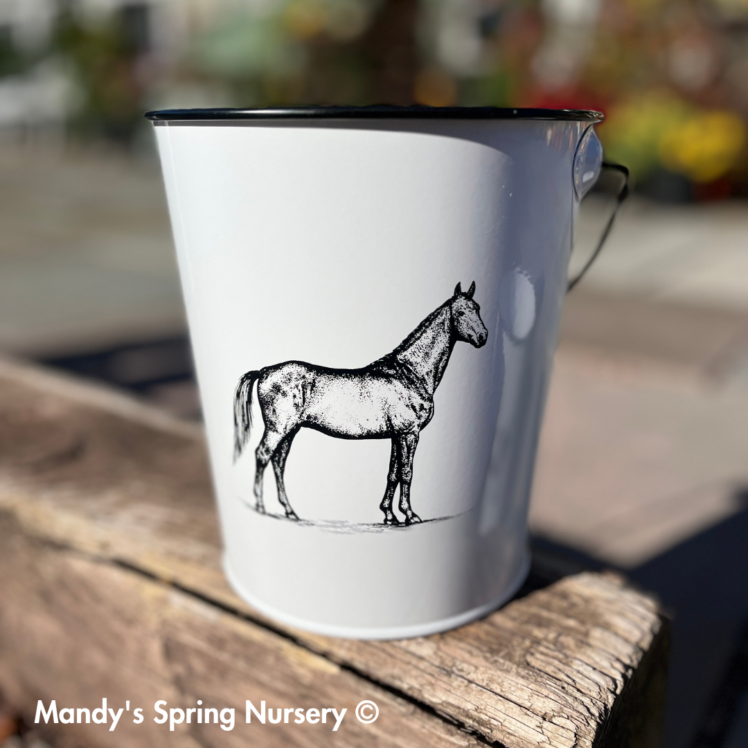 Farm Animal Bucket Planter