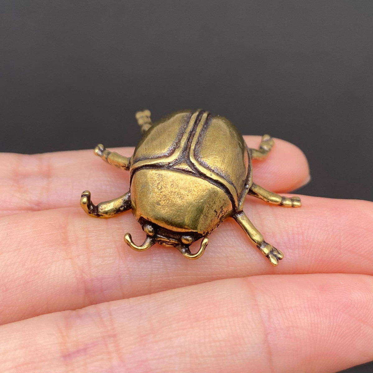 Brass Beetle