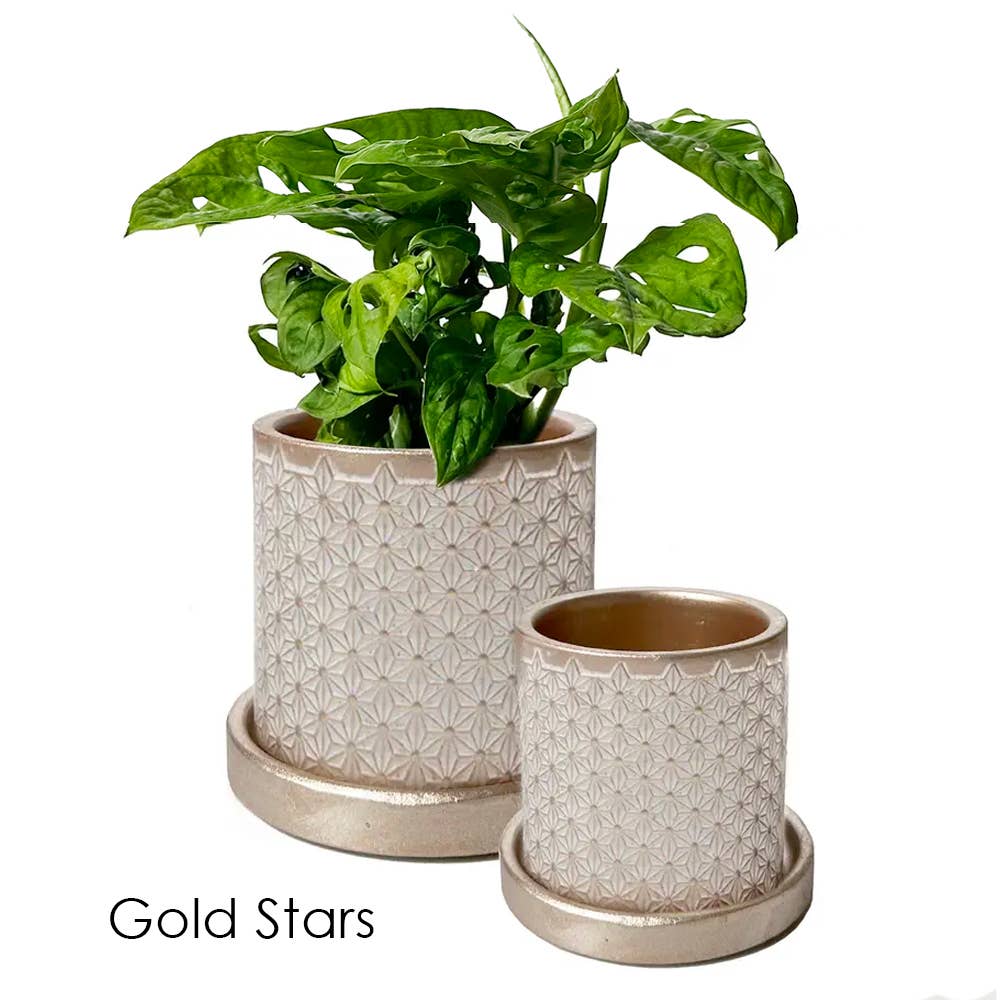 Balter Succulent Containers Cactus Pot And Saucer