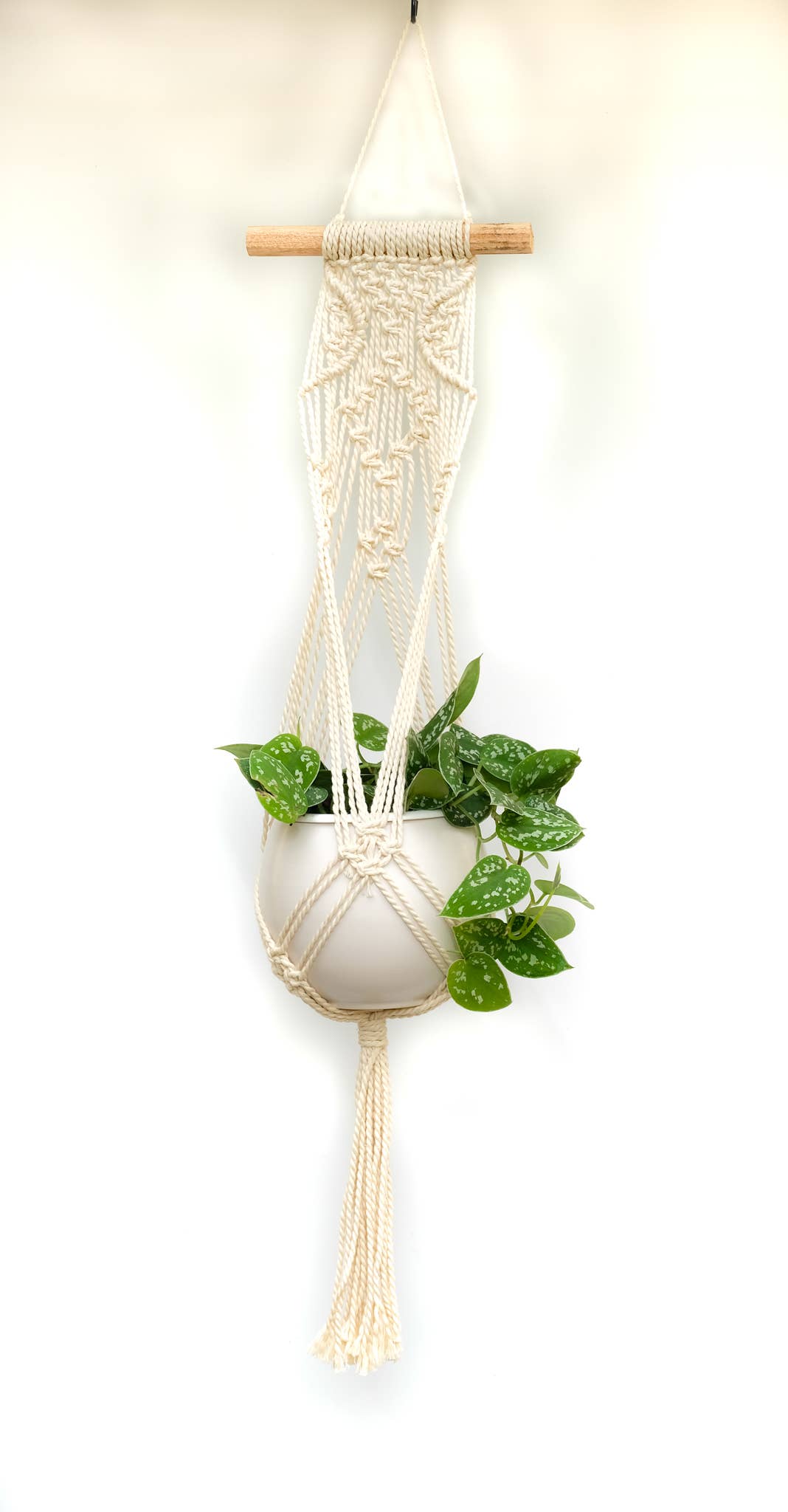 Macrame Cotton Plant Hanger (L-27in, W-6inch)
