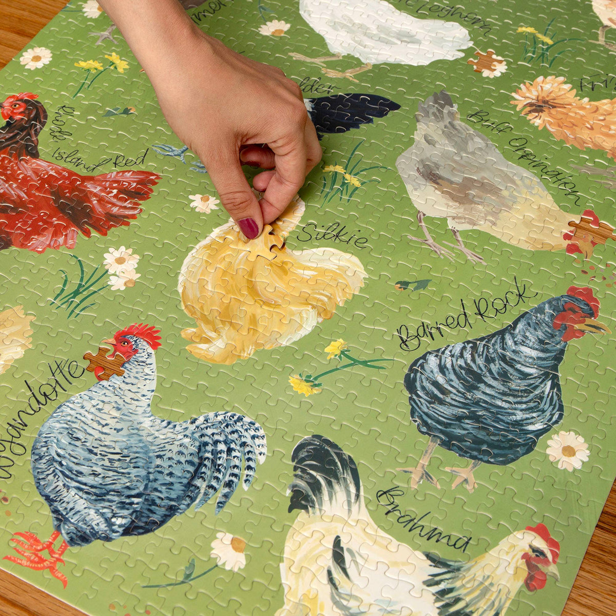 Chicken Meadows - 1,000 Piece Jigsaw Puzzle