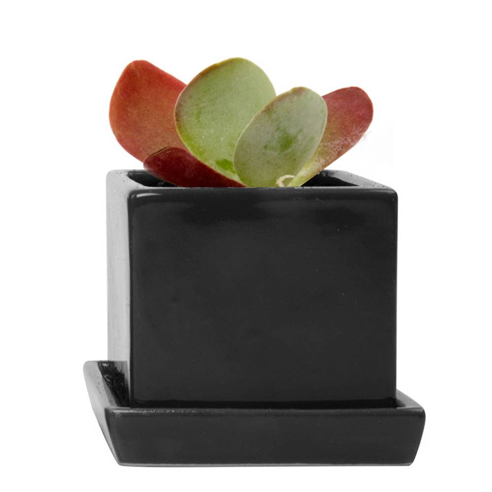 Cube Pot With Saucer And Drainage Hole 60 Plus Colors