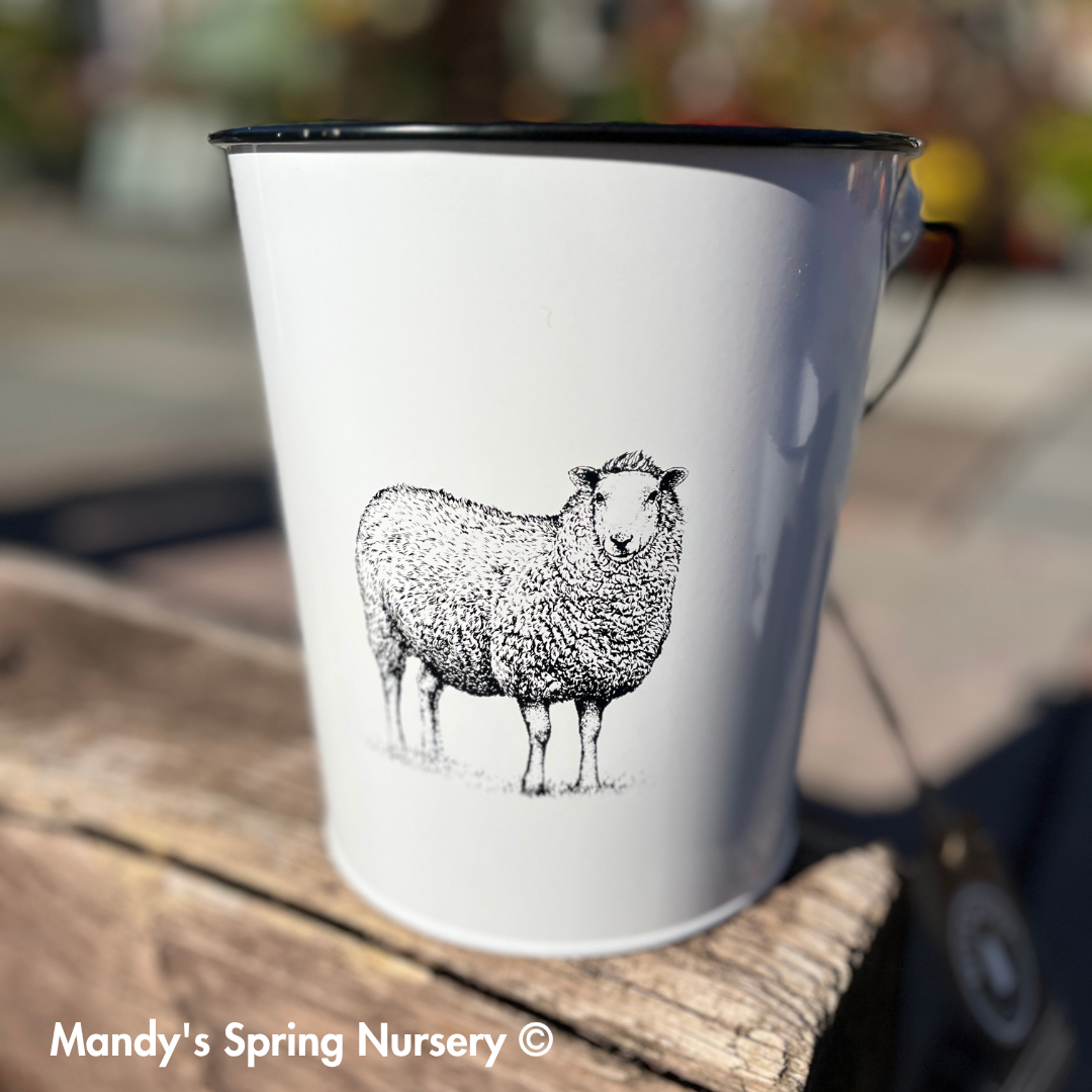 Farm Animal Bucket Planter