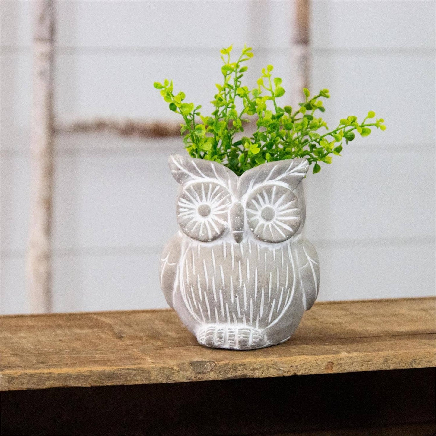 Cement Owl Planter