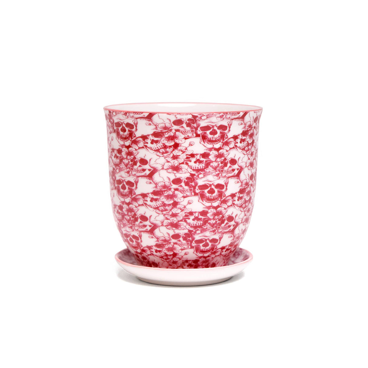 Liberte Indoor plant pots with drainage 3 & 5 inch planter