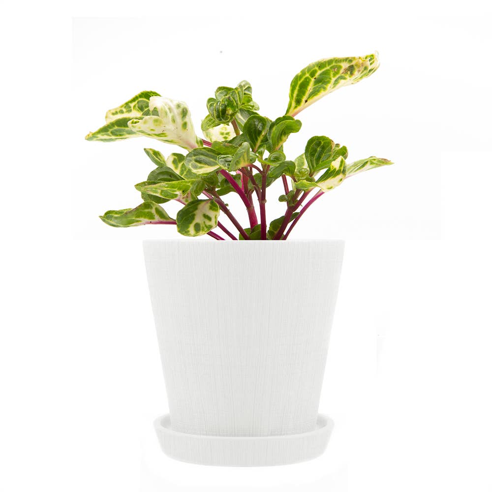 Mick Planter Pots With Drainage Holes Bulk SALE SALE
