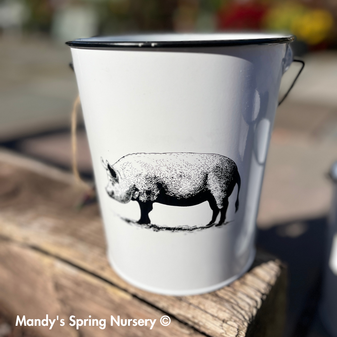 Farm Animal Bucket Planter