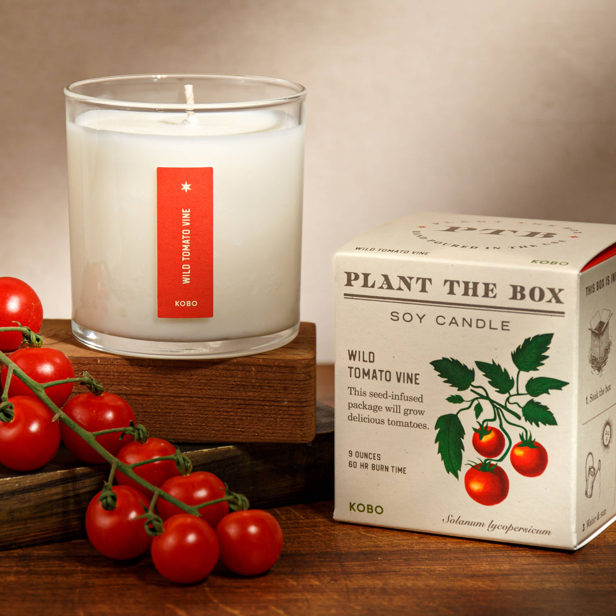 Wild Tomato Vine - Plant the Box Candle - 9oz.
