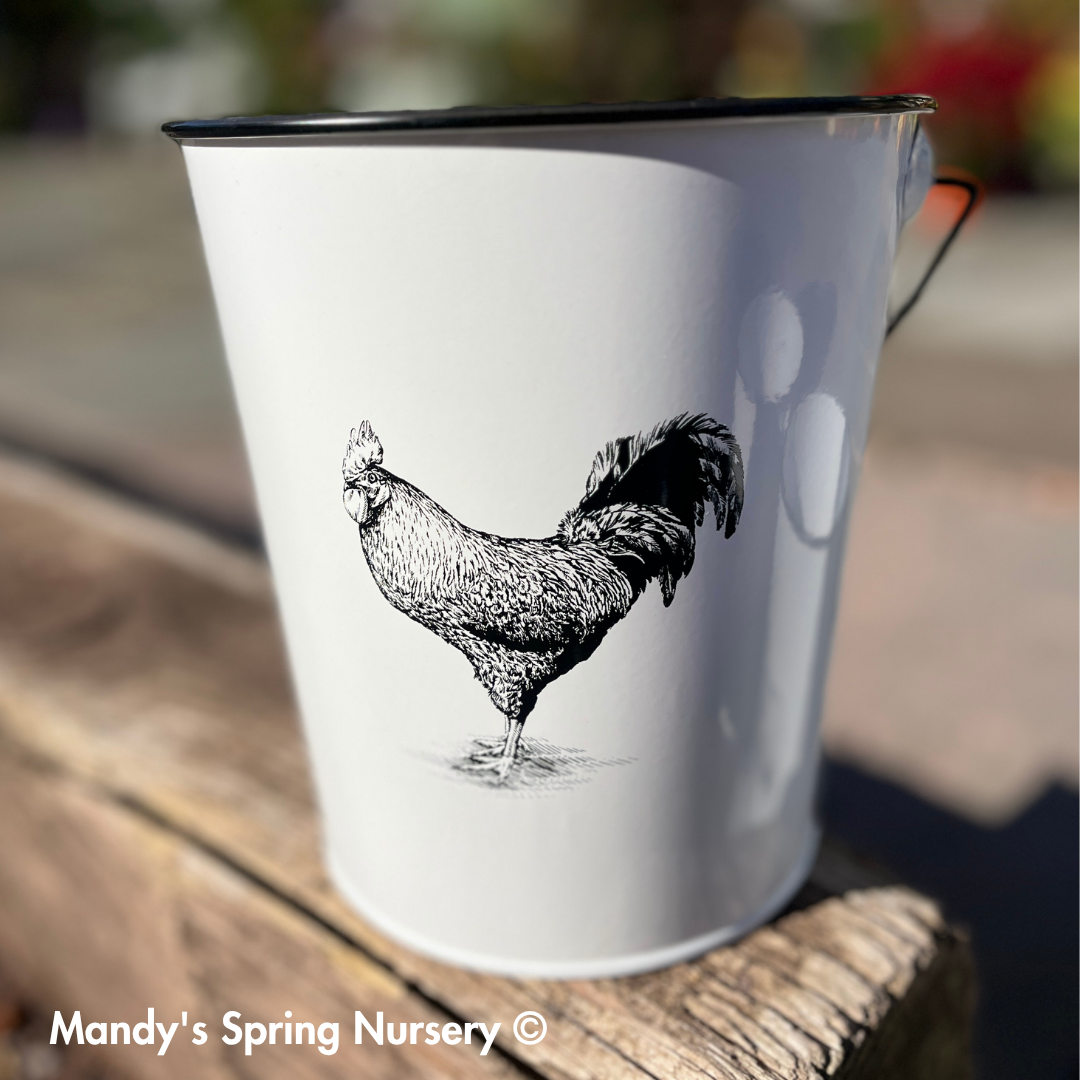 Farm Animal Bucket Planter