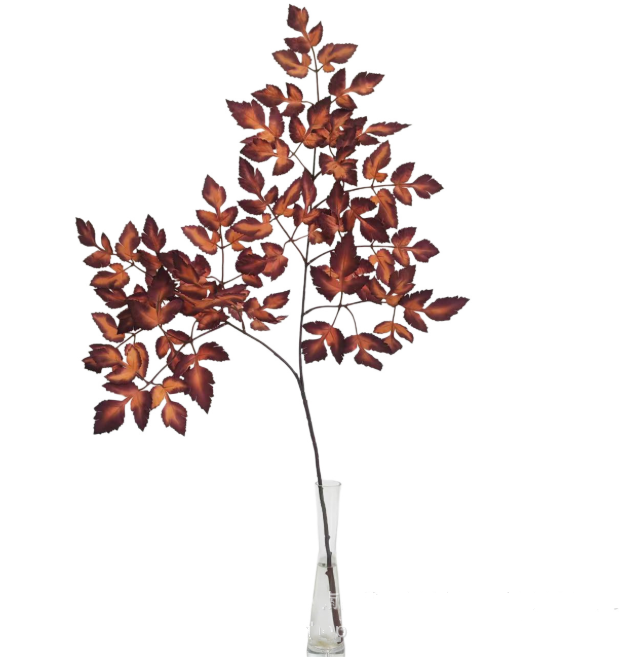 Plum Fake Cimicifuga Ramosa Leaves Branches