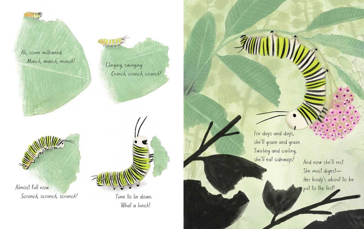 Monarch by Kirsten Hall