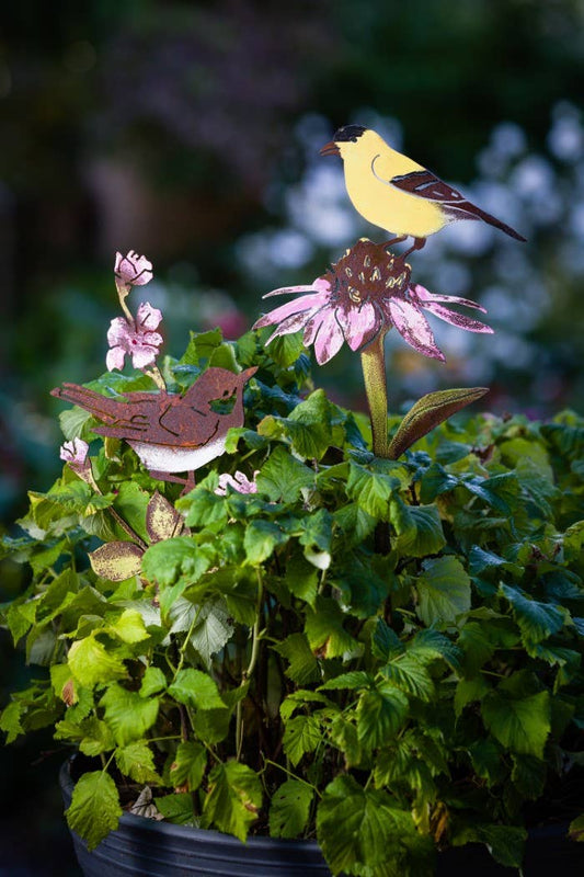 Goldfinch on Cone Flower Pick -Painted