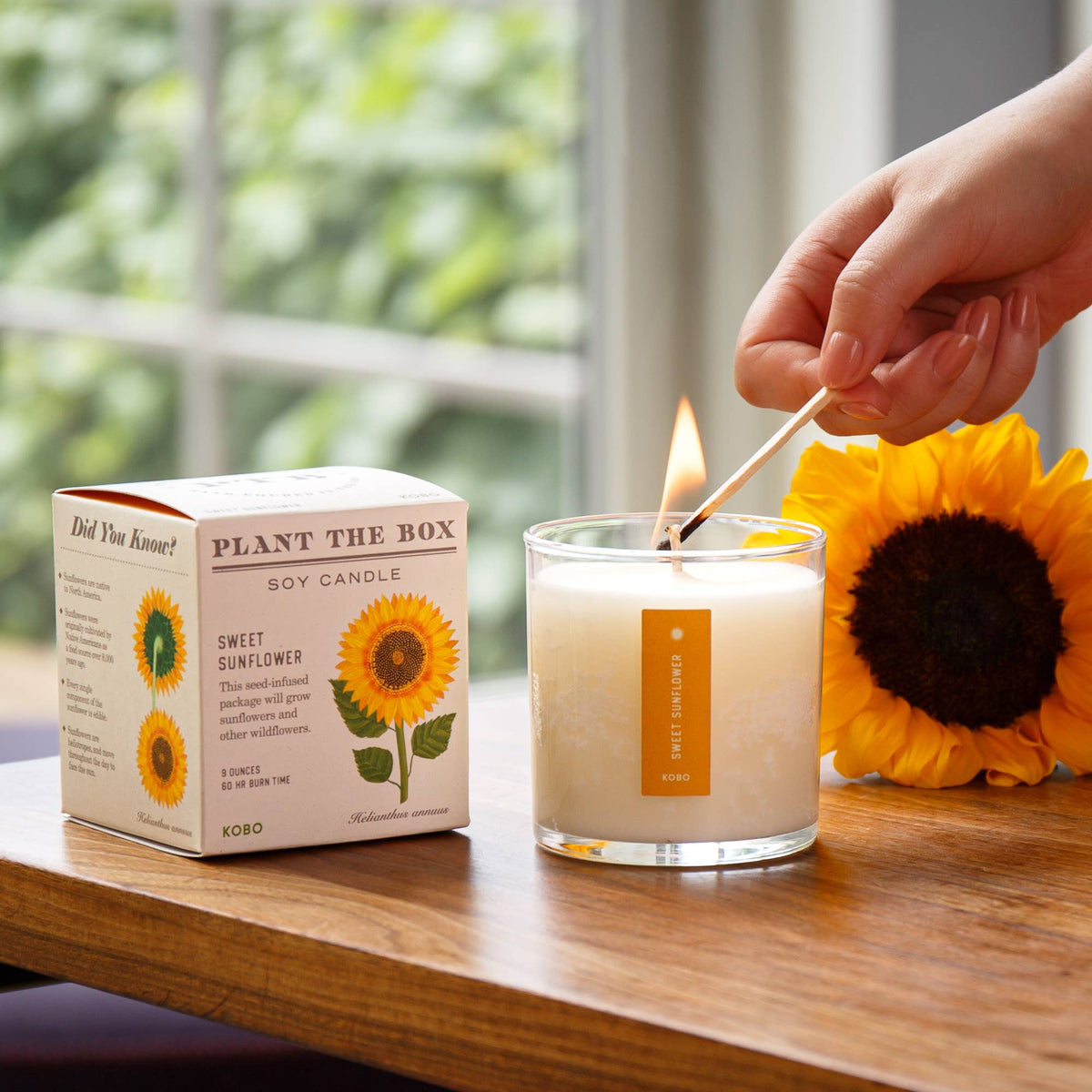 Sweet Sunflower - Plant the Box Candle - 9oz.