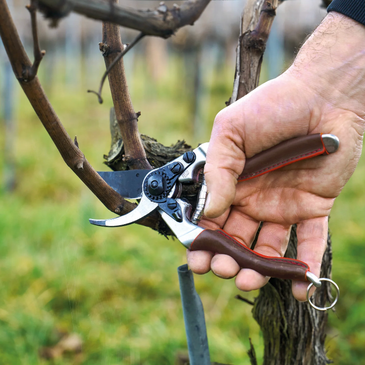 FELCO 6 Elite - One-hand pruning shear