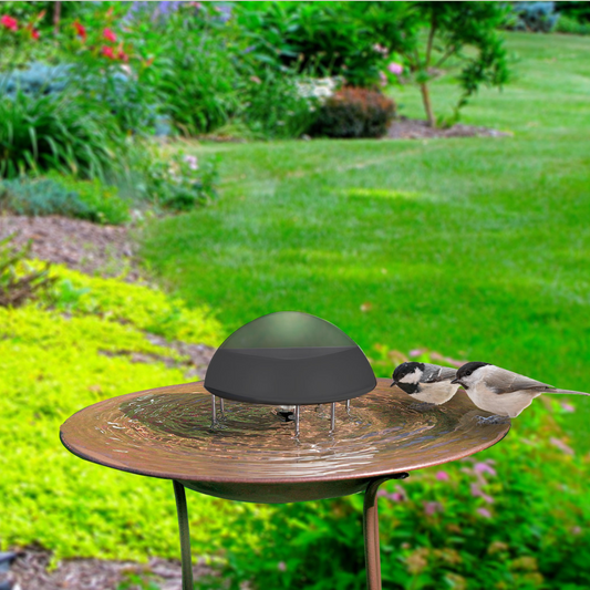 Solar Powered Birdbath Water Circulator