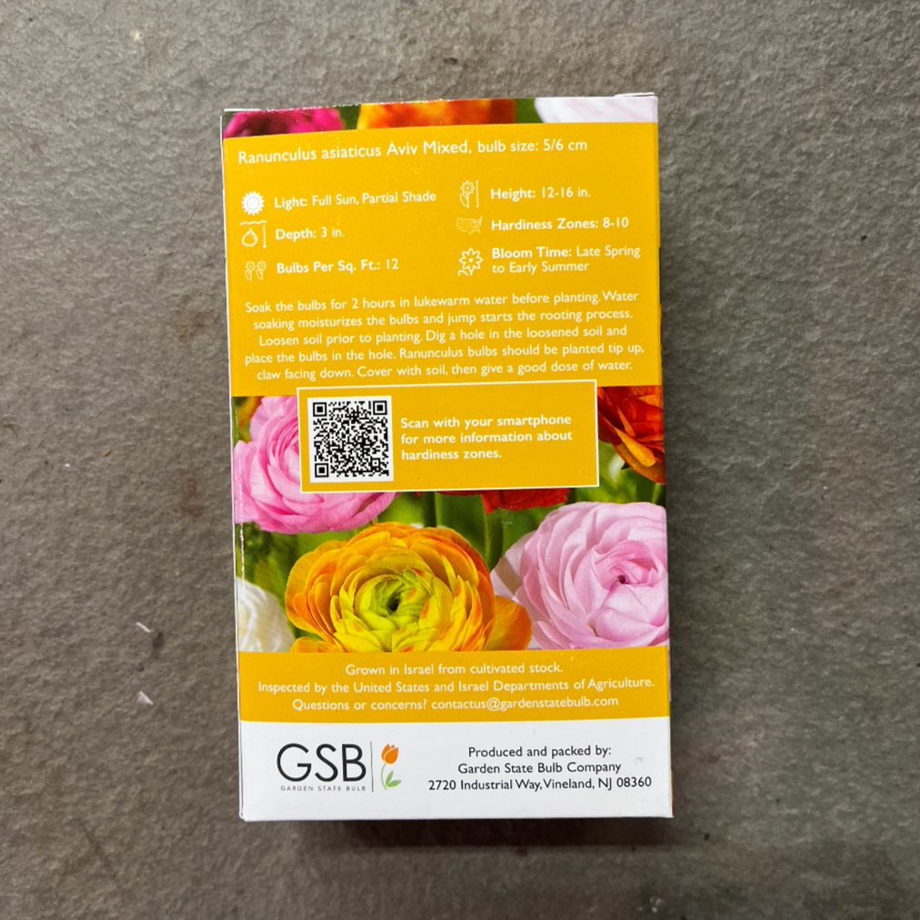 Ranunculus Aviv Mixture - 6 Bulbs