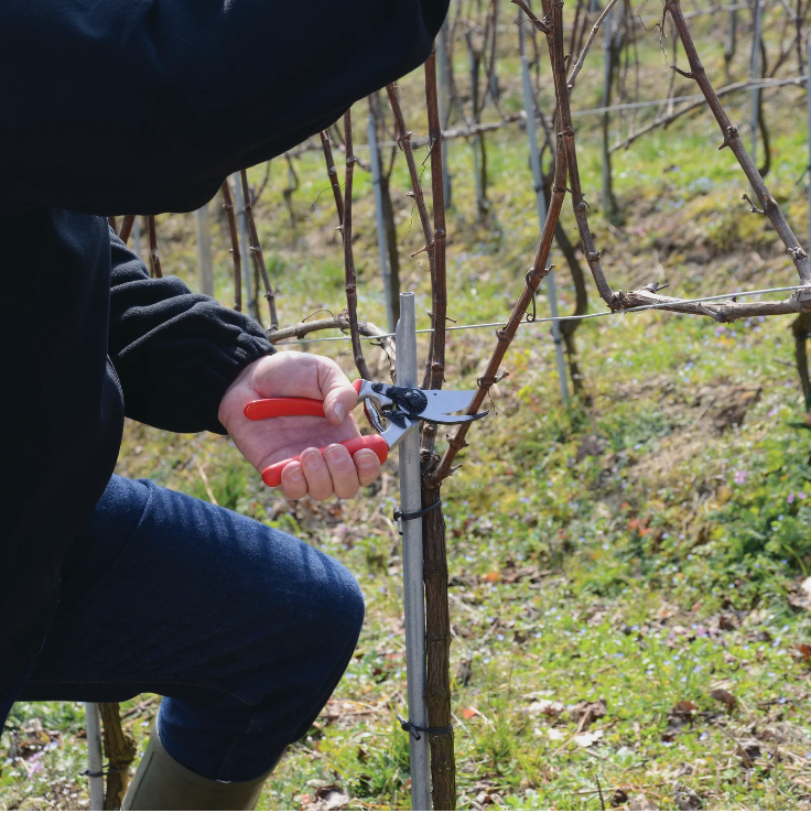 Felco 17 - Left Handed Pruners