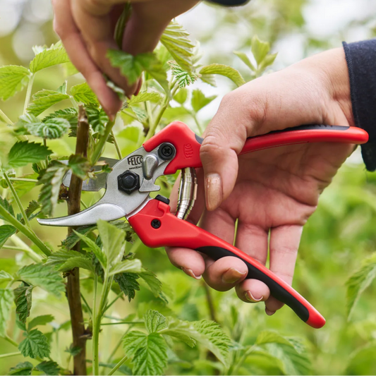 FELCO 171M - Large Pruner