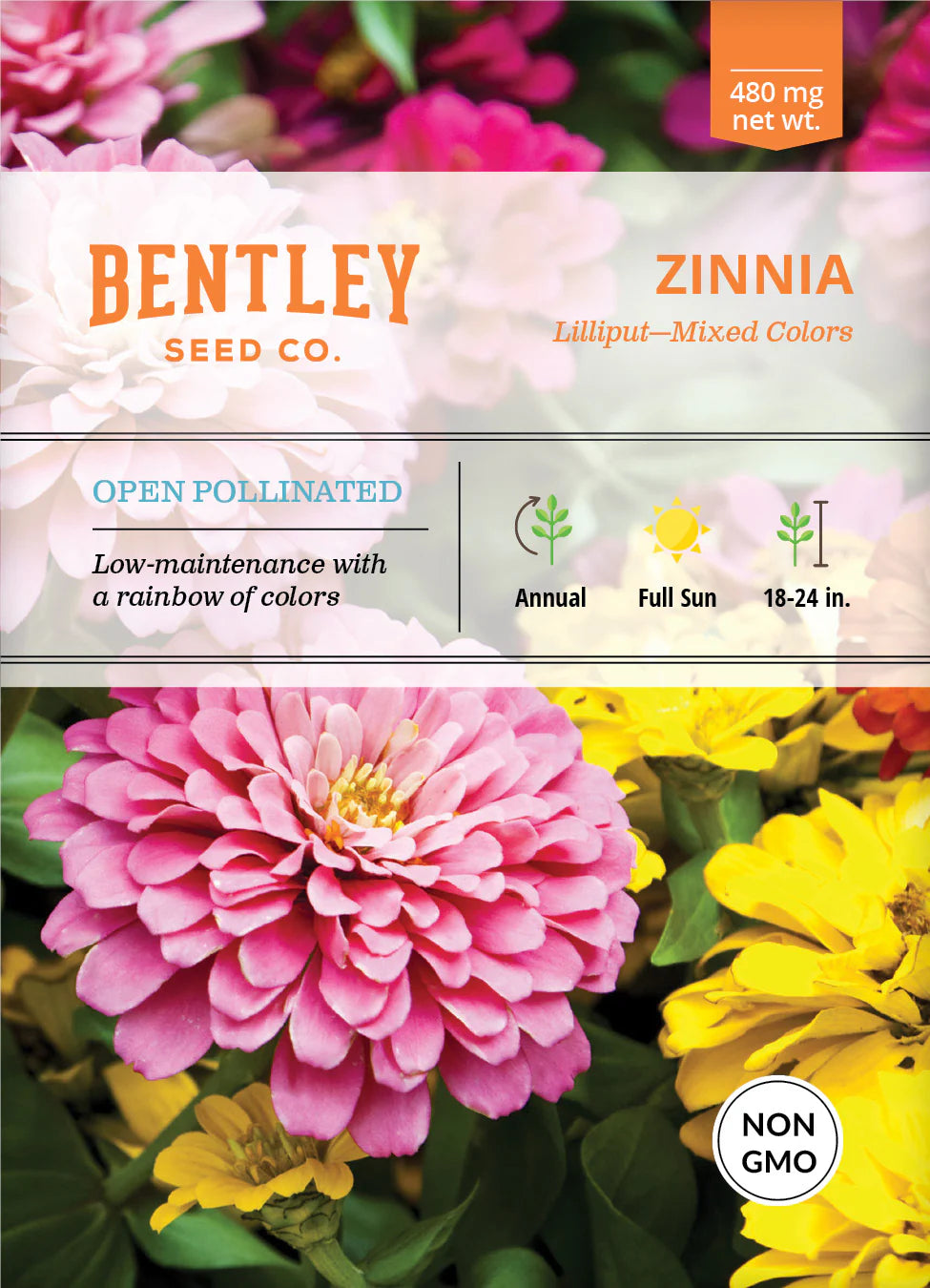 Zinnia Lilliput- Mixed Colors ( NON GMO)