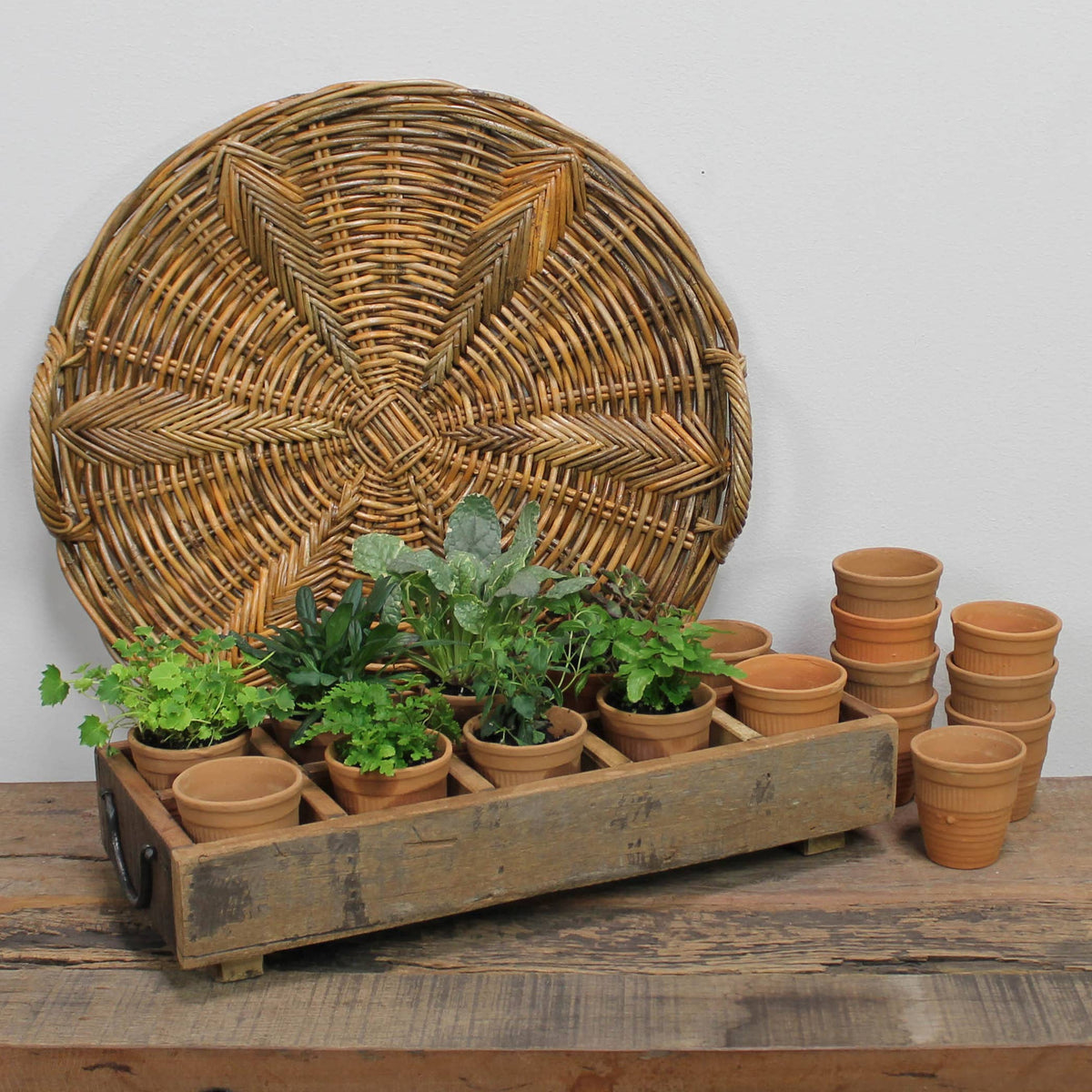 Campo Wood Caddy with 10 Clay Cups