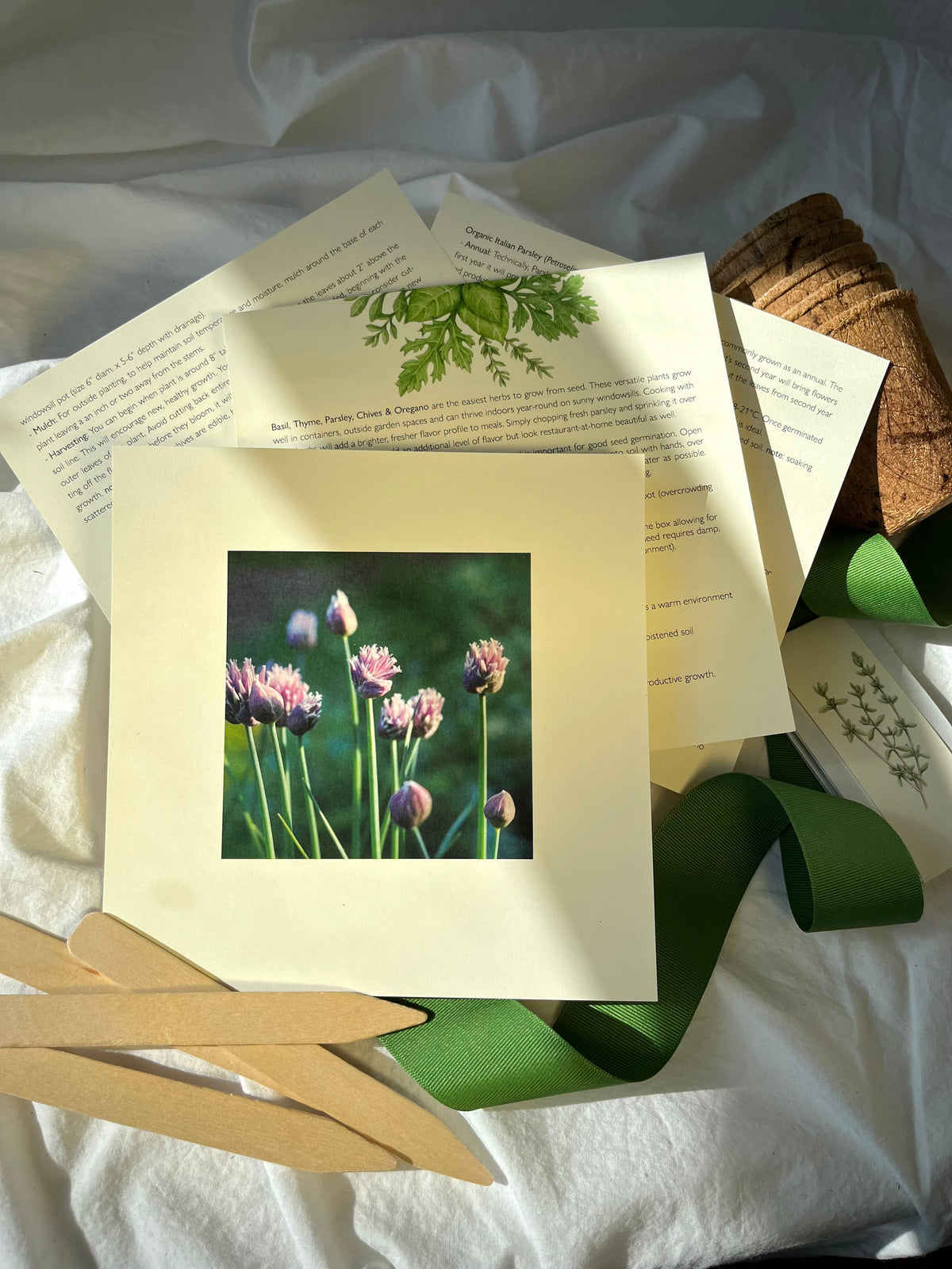 Culinary Herb Garden Box | Holiday Gift for Gardeners