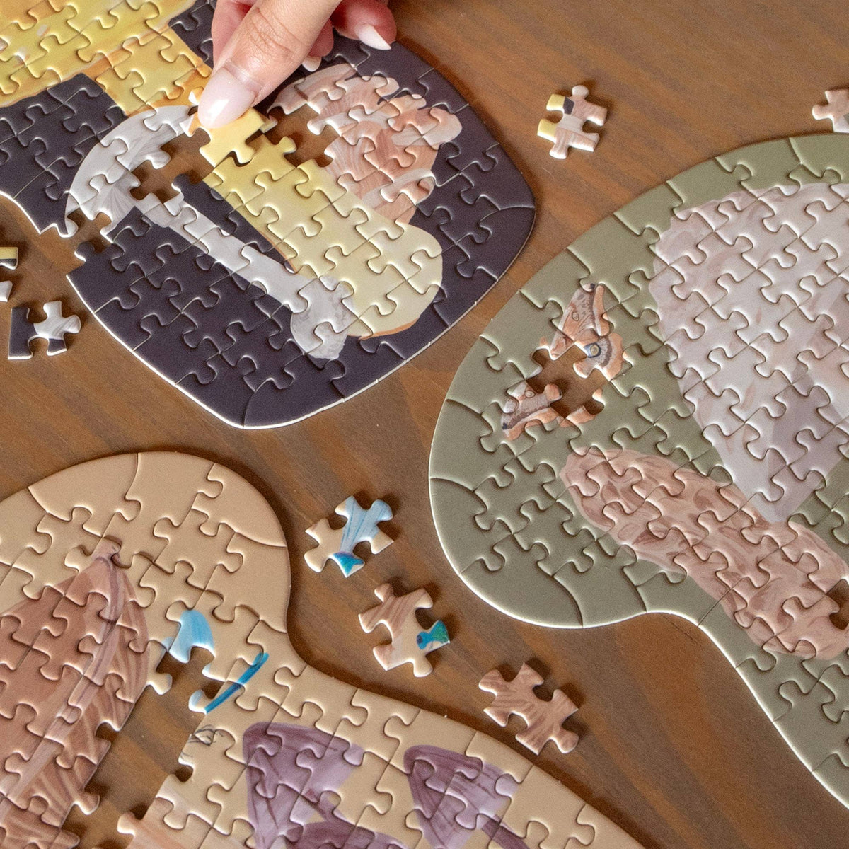 Midnight Flora & Fauna - 100 Piece Jigsaw Puzzles - Set of 3