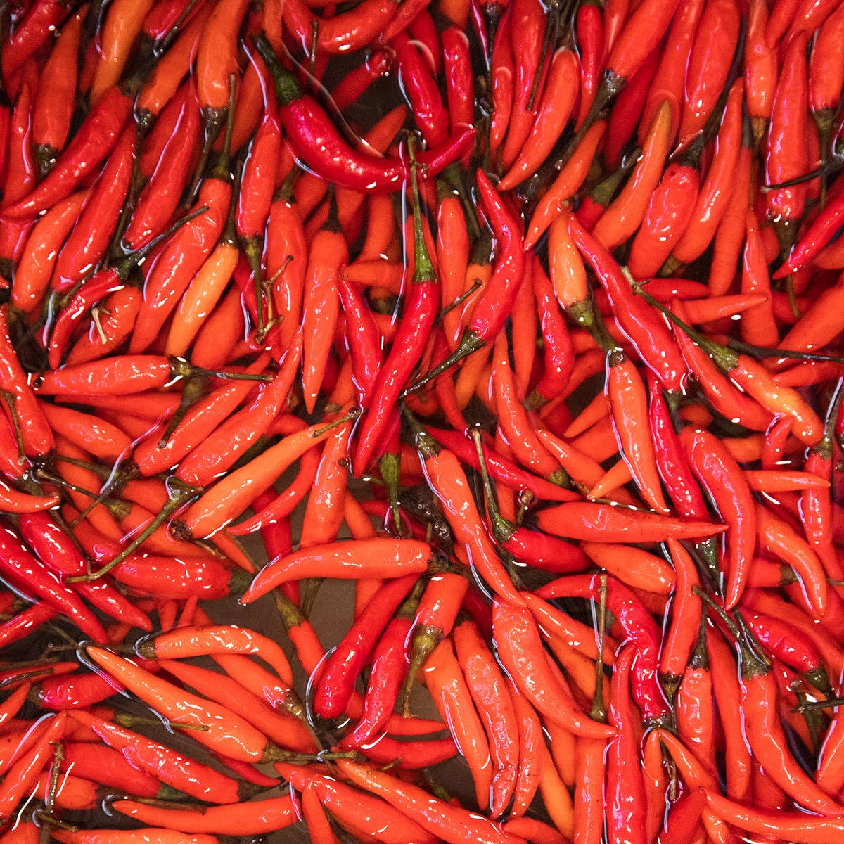 Fresno & Thai Spicy Chili Jam