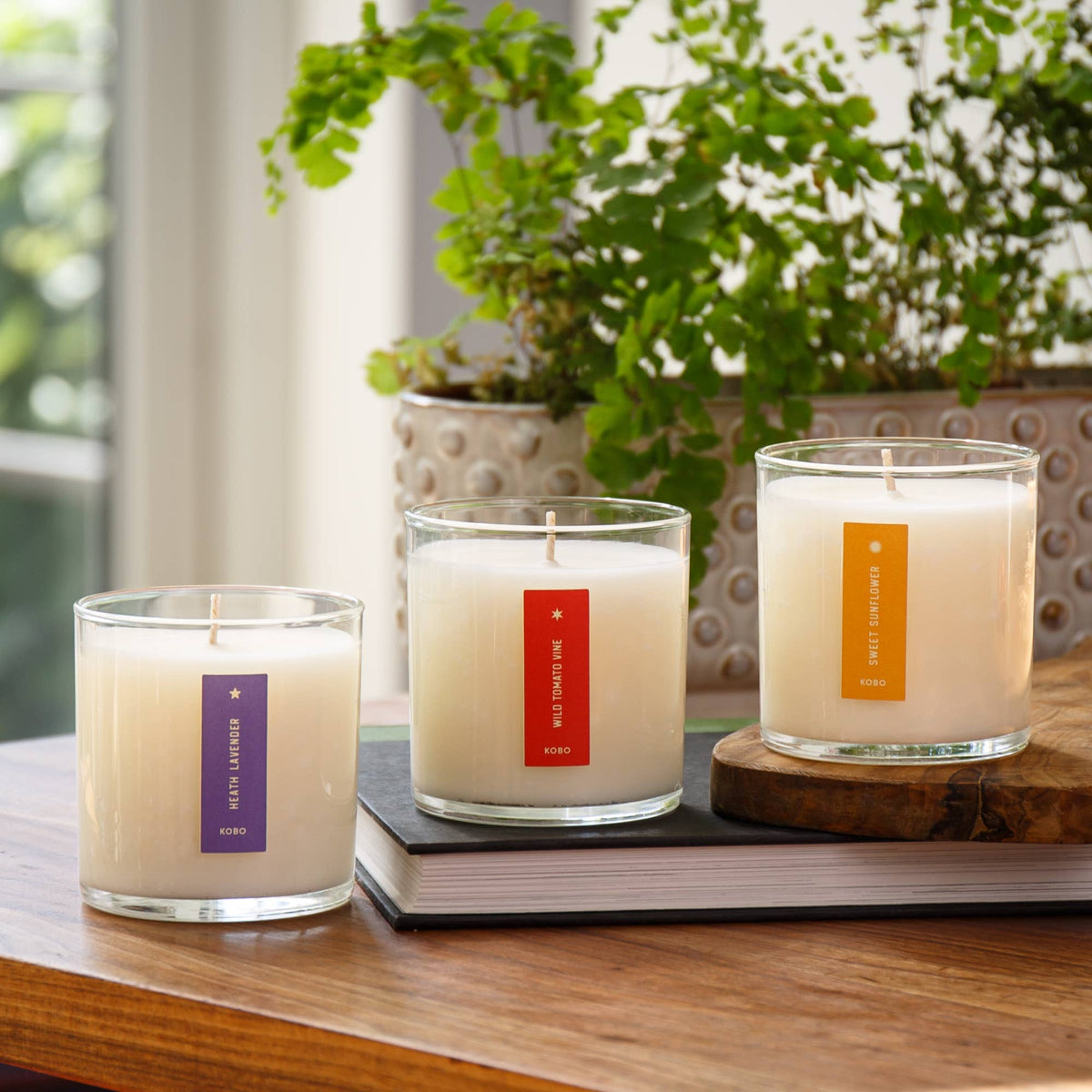 Sweet Sunflower - Plant the Box Candle - 9oz.